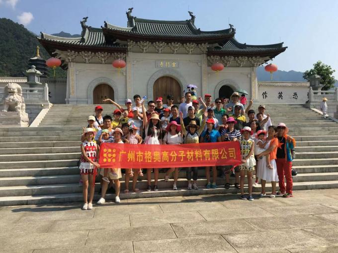 Gráfico de PSAF livre Repelente de água Impermeável para tecidos Couro Protector de móveis Cuidados de móveis Spray impermeável 16