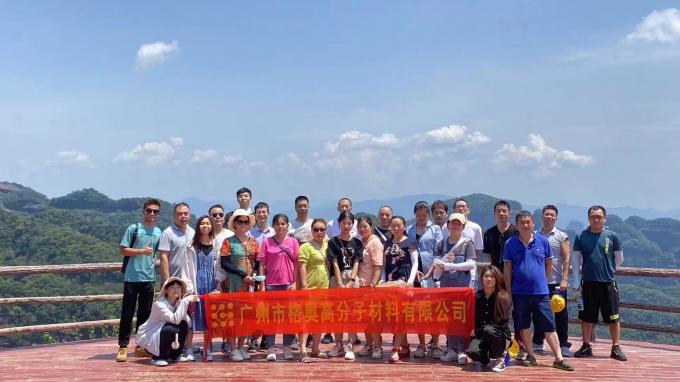 Gráfico de PSAF livre Repelente de água Impermeável para tecidos Couro Protector de móveis Cuidados de móveis Spray impermeável 19